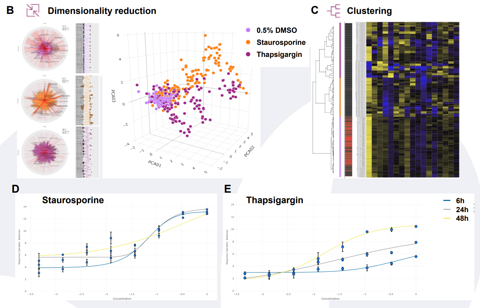 Cellular phenotypic profiling figure