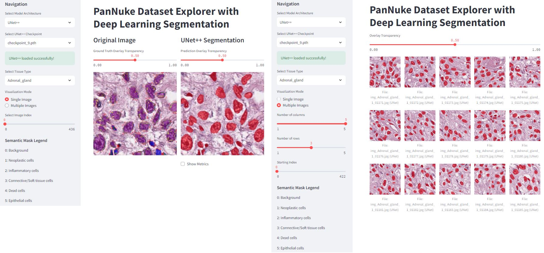 Demonstration of the PanNuke segmentation app