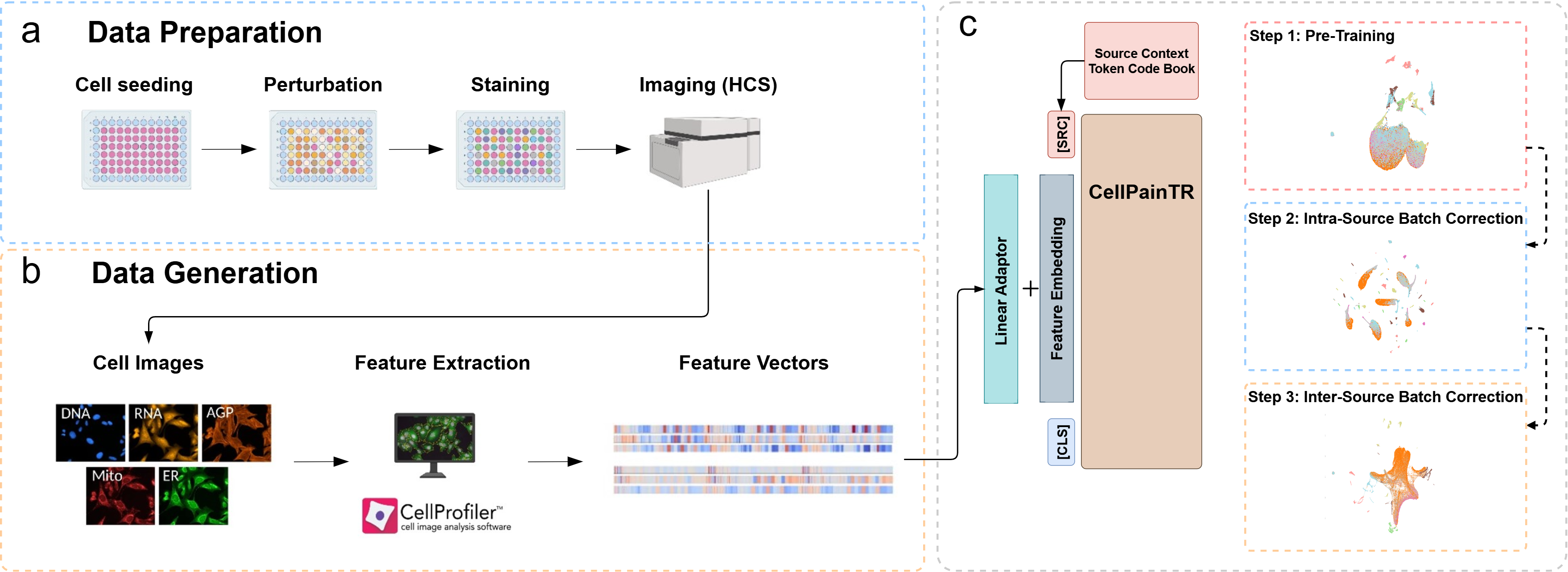 Conceptual overview of the CellPainTR workflow