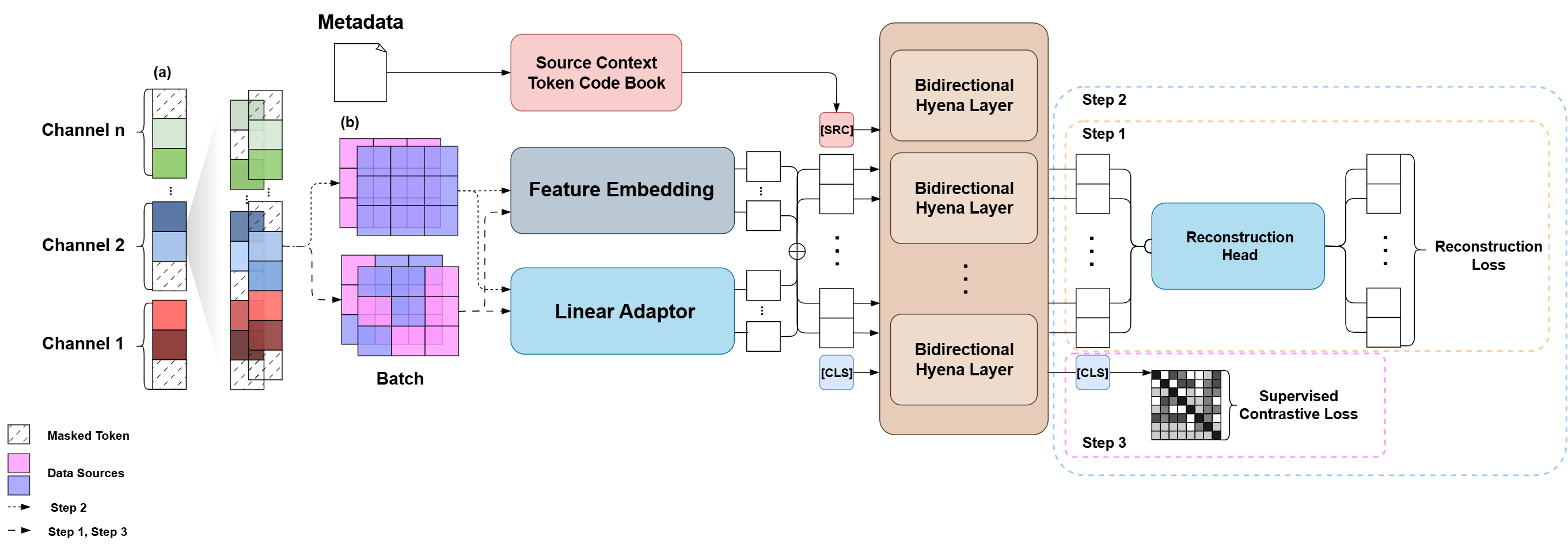 Diagram of the three-step training curriculum