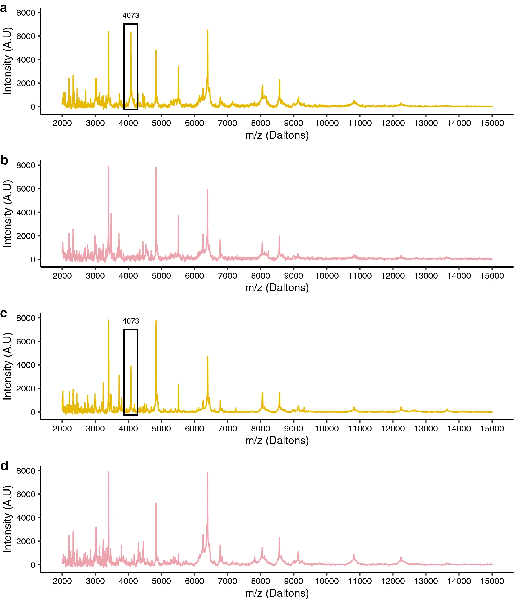 Wolbachia detection figure